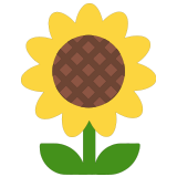 🌻 Sunflower, Emoji by Microsoft