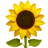 🌻 Sunflower, Emoji by Apple