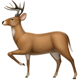 🦌 Deer, Emoji by Apple