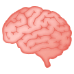 🧠 Brain, Emoji by Samsung