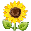 🌻 Sunflower, Emoji by Samsung