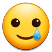 🥲 Visage Souriant Avec Une Larme Emoji par Samsung
