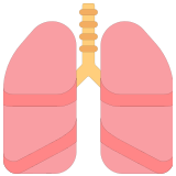 🫁 Lungs, Emoji by Microsoft