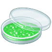 🧫 Petri Dish, Emoji by Samsung