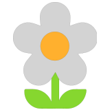 🌼 Blossom, Emoji by Microsoft
