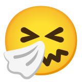 🤧 Niesendes Gesicht Emoji von Google