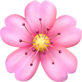 🌸 Цветок Вишни, смайлик от Apple