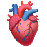 🫀 Herz (organ) Emoji von Apple