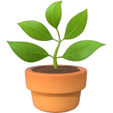 🪴 Plante En Pot Emoji par Apple