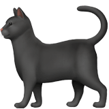 🐈‍⬛ Schwarze Katze Emoji von Apple