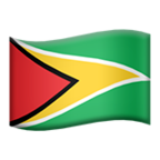 🇬🇾 Drapeau : Guyana Emoji par Microsoft