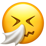 🤧 Niesendes Gesicht Emoji von Apple