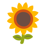🌻 Sonnenblume Emoji von Google