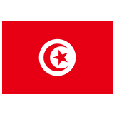 🇹🇳 Флаг: Тунис, смайлик от Google