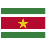 🇸🇷 Флаг: Суринам, смайлик от Google