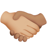 🫱🏼‍🫲🏽 Handshake: Medium-Light Skin Tone, Medium Skin Tone, Emoji by Apple
