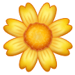🌼 Blossom, Emoji by Samsung