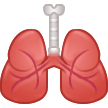 🫁 Lunge Emoji von Samsung