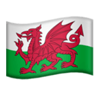 🏴󠁧󠁢󠁷󠁬󠁳󠁿 Flag: Wales, Emoji by Microsoft