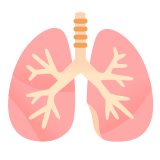 🫁 Lungs, Emoji by Google