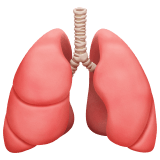 🫁 Lungs, Emoji by Apple